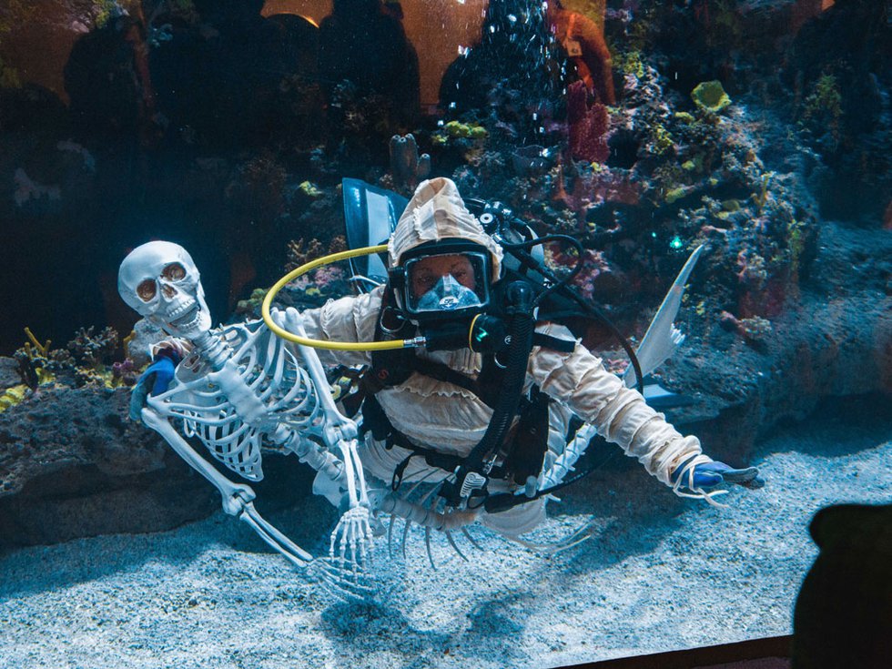 Trick or Treat Under the Sea